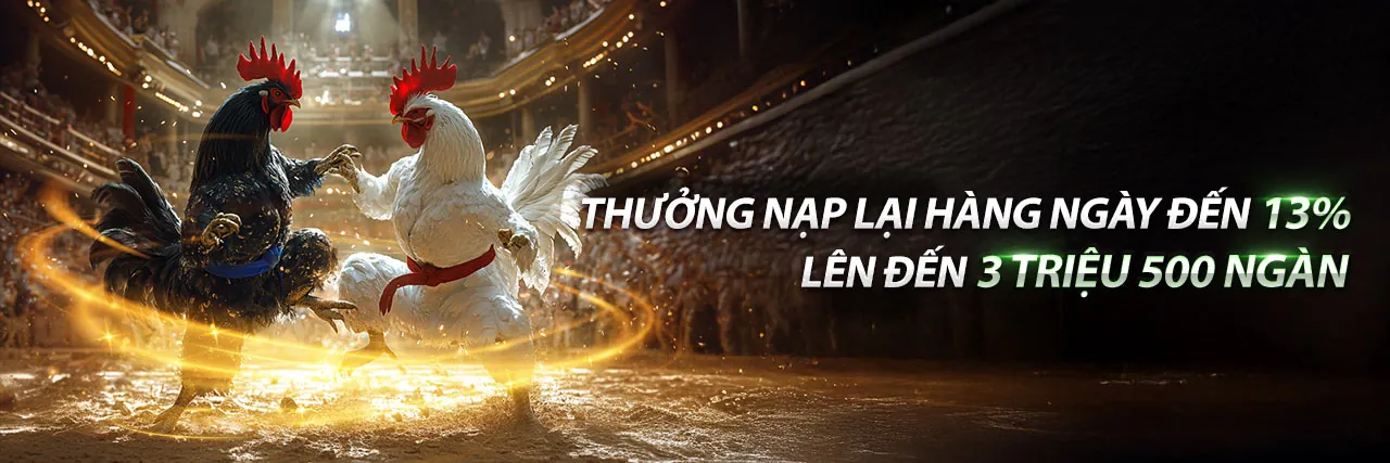 Chính Sách Bảo Mật m98 Chính Thức - Bảo Vệ Dữ Liệu Cá Nhân